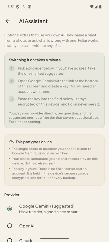 Foliar AI assistant settings explaining the bring-your-own-key setup and what is sent online