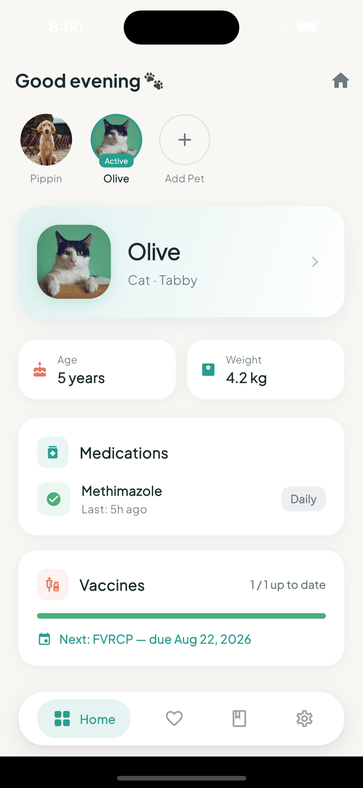 Pet profile for a cat