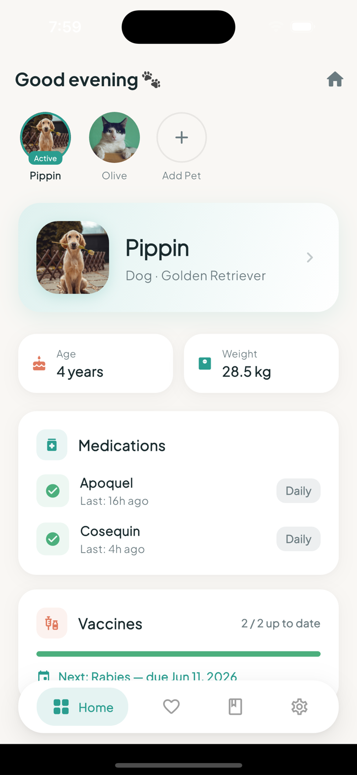 PawCare dashboard